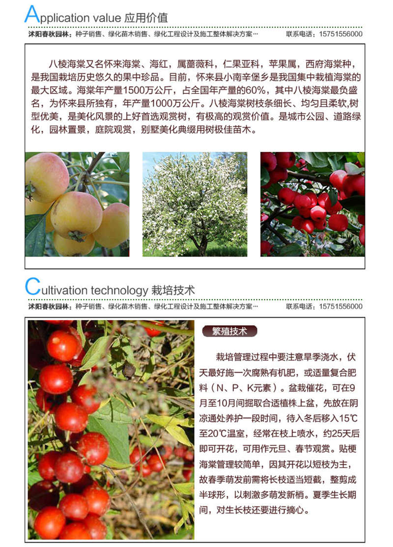 八棱海棠種子應(yīng)用價(jià)值及種植技術(shù)