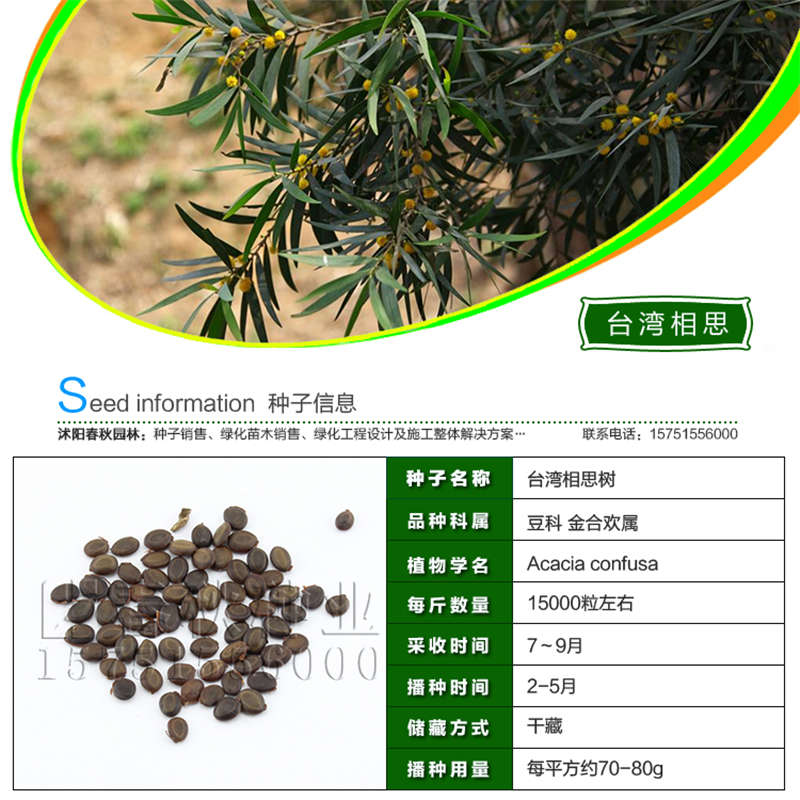 臺灣相思樹種子基本信息
